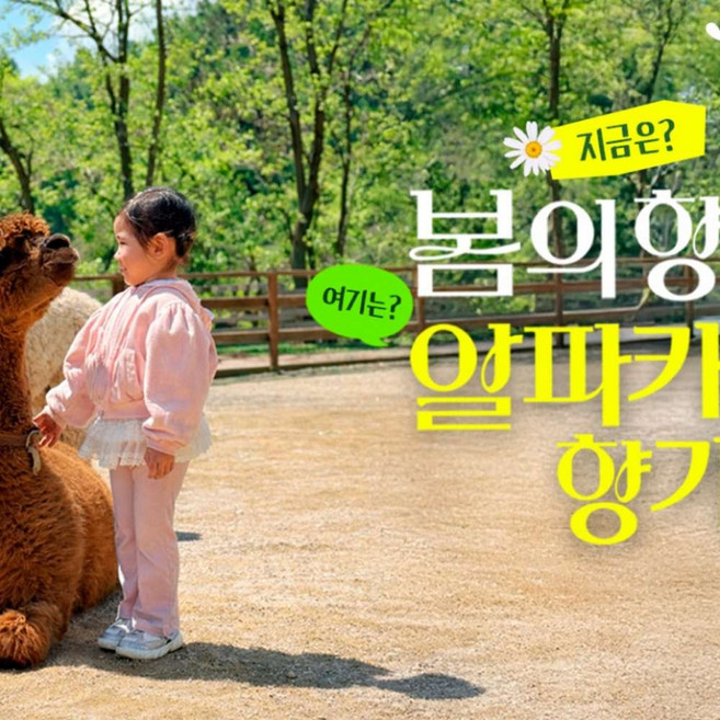 [홍천] 알파카월드 입장권
