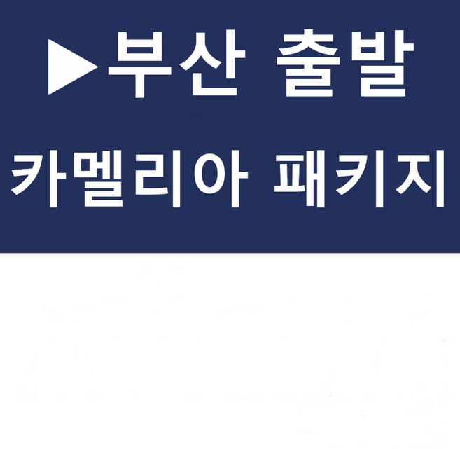 8위 - [부산출발] [큐슈][투어민족] 카멜리아▶후쿠오카 시내숙박 + 자유석식 4일