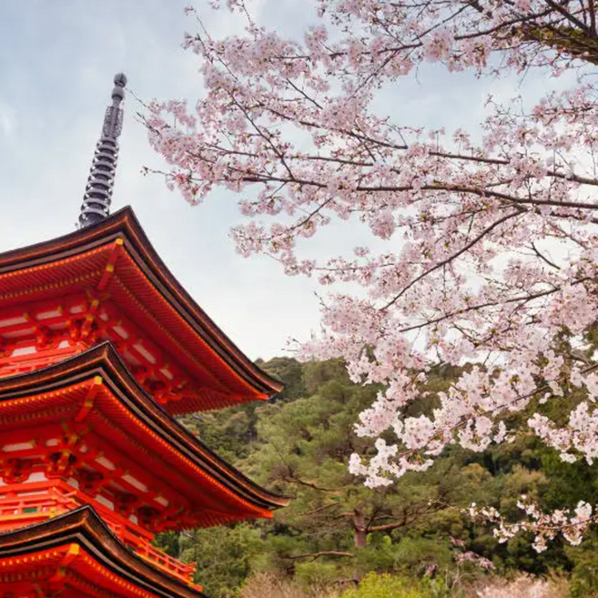 도톤보리리버크루즈 추천 BEST7 — 이렇게 고르세요 (2026)