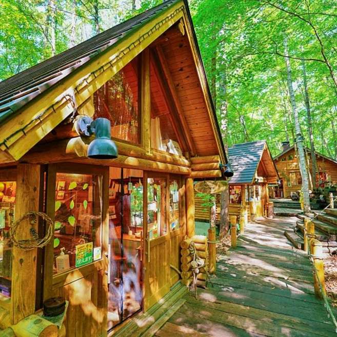 [일본 북해도 삿포로] [♥️닝구르방문♥️][준페이매장식사]북해도 비에이&후라노 버스투어 (라쿠투어)