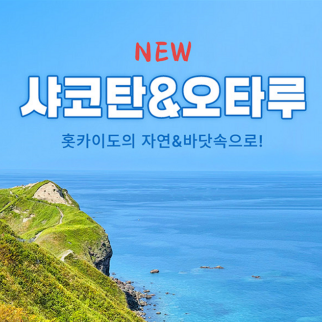 샤코탄투어 추천 BEST9 — 이렇게 고르세요 (2026)