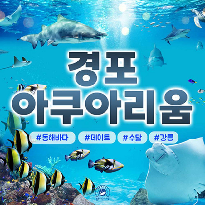 [강원] 경포아쿠아리움 입장권