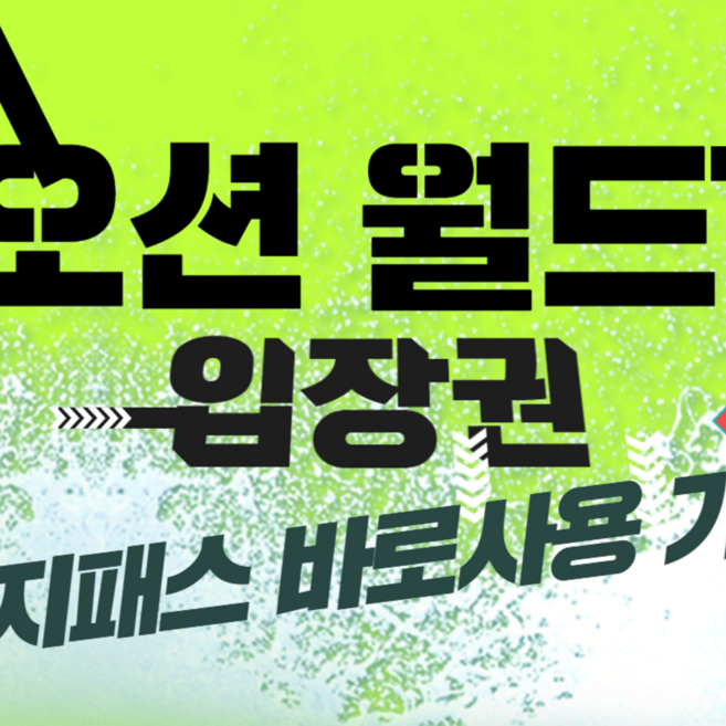 [홍천] 오션월드 입장권 실내락커 문자발송 당일사용 이지패스