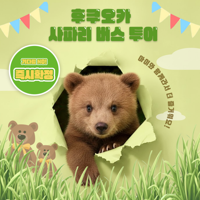 7위 - [일본 큐슈] 1명부터출발 아프리칸 사파리 벳푸 일일 버스투어 한국인 가이드 [하루하루투어]
