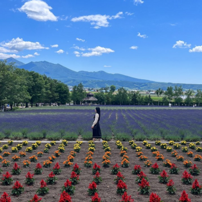 [일본 북해도] 1명부터출발 삿포로 비에이 일일 버스투어 한국인가이드 [하루하루투어]