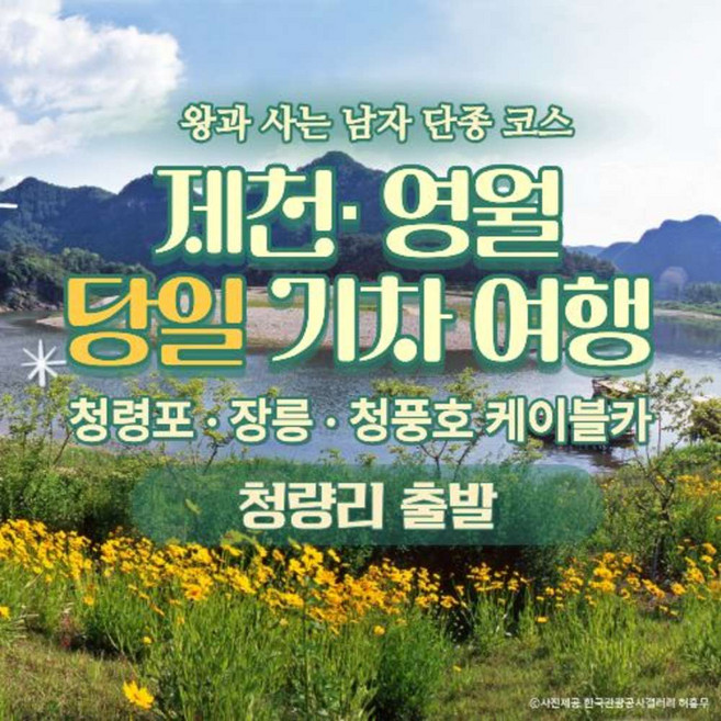 [왕과사는사람] 제천 영월 당일치기 기차여행 청령포·장릉·청풍호 케이블카(청량리출발)