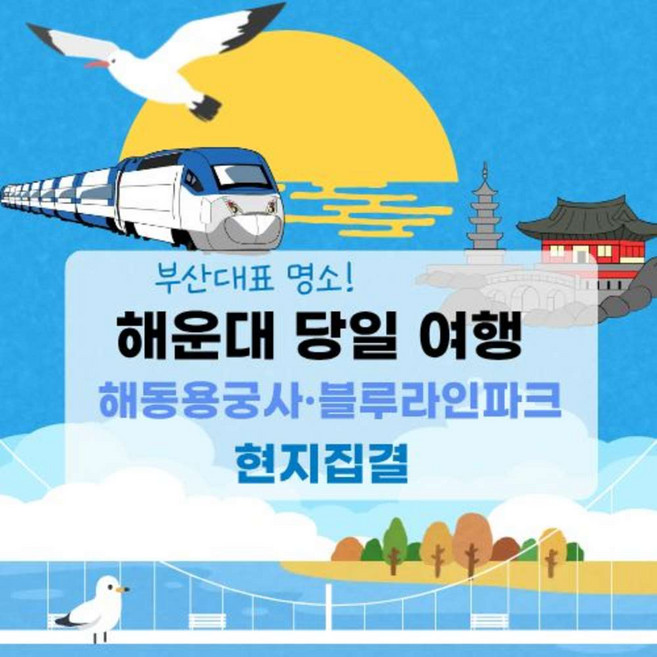 8위 - [그린데이투어] 부산 당일 여행 · 해동용궁사 해운대 블루라인파크 자갈치 · 현지집결