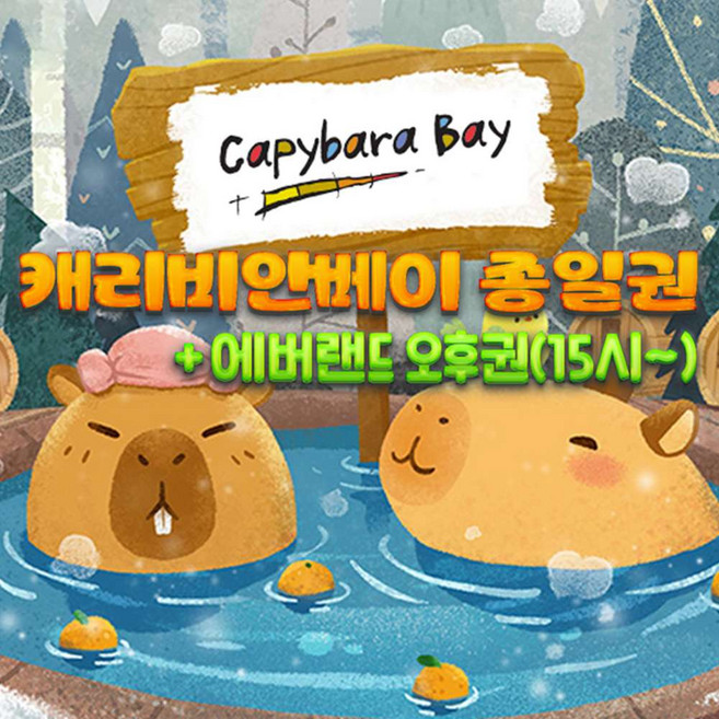 [용인] 캐리비안 베이 종일+에버랜드 오후권(12/5~26/3/2)