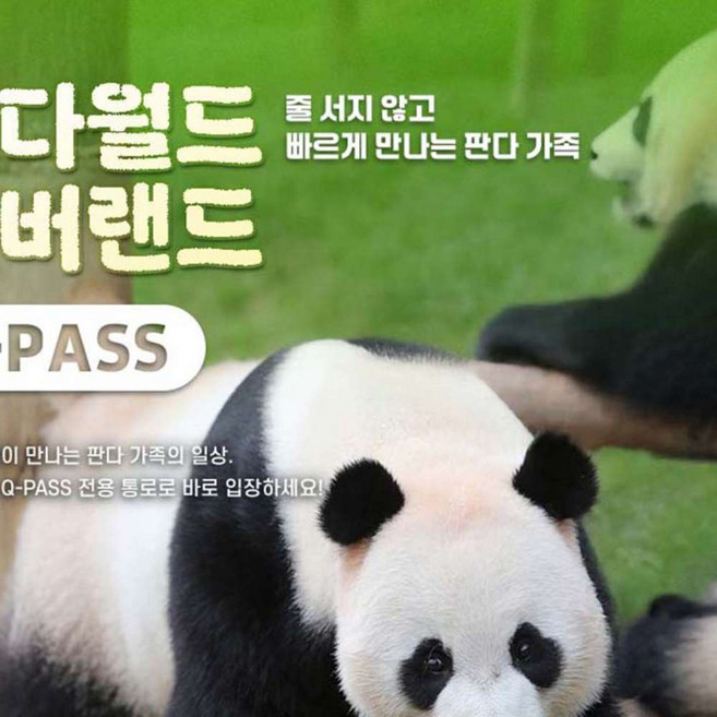 [용인] 에버랜드 Q-PASS: 판다월드
