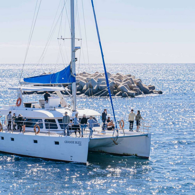 [제주] [제주] 그랑블루요트 럭셔리투어