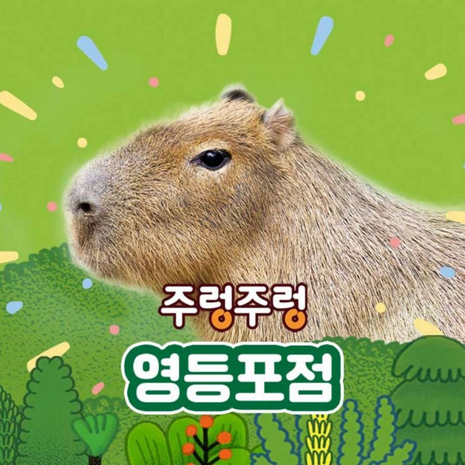 [서울] 주렁주렁 실내 동물원 영등포점