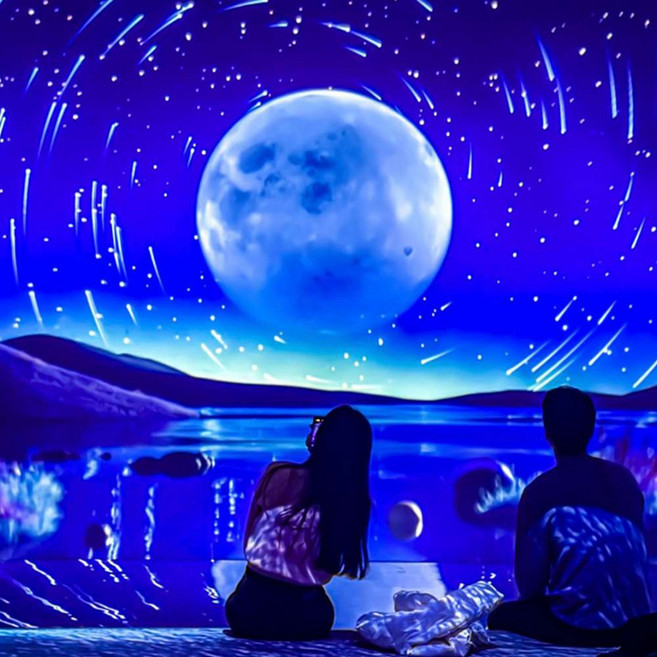 [속초] 뮤지엄엑스 이용권