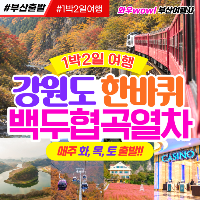 8위 - [협곡열차] [부산출발] 강원도 한바퀴 백두대간 협곡열차 1박2일 와우부산여행사