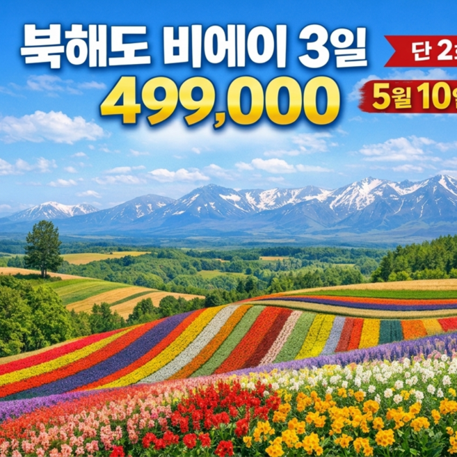 [일본북해도] [부산출발] 북해도 비에이, 하이라이트 2박3일 (BX 에어부산)