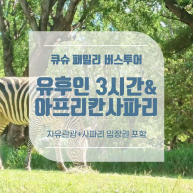4위 - [후쿠오카 출/도착] 큐슈 유후인 온천마을 & 아프리칸 사파리 버스투어(입장권포함)