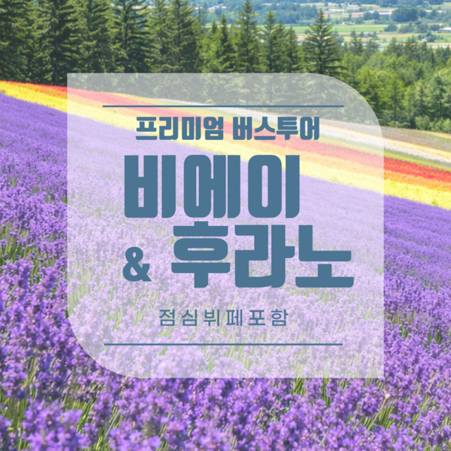 9위 - [삿포로] 북해도 비에이·후라노 프리미엄 1일 버스투어 (점심뷔페포함)