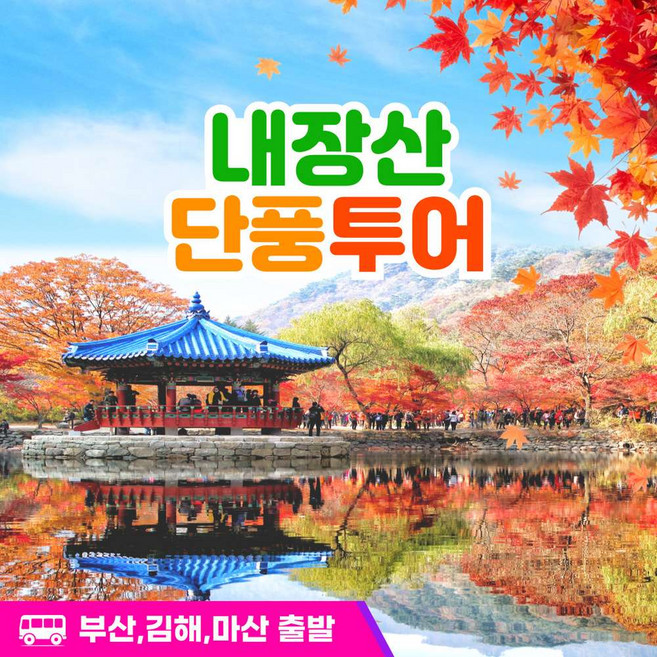 5위 - [전북] 부산출발 내장산 단풍투어 국내당일여행 / 부산국내여행사