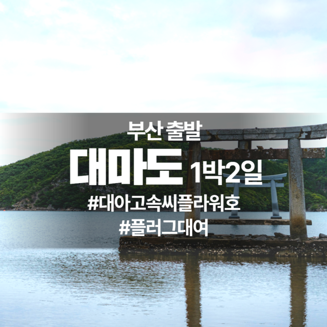 [부산항출발] 대마도 1박2일 패키지 - 대아고속씨플라워호