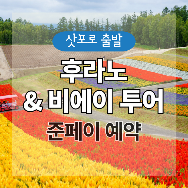 10위 - [북해도] [삿포로] 후라노 · 비에이 인기 코스 1일 투어