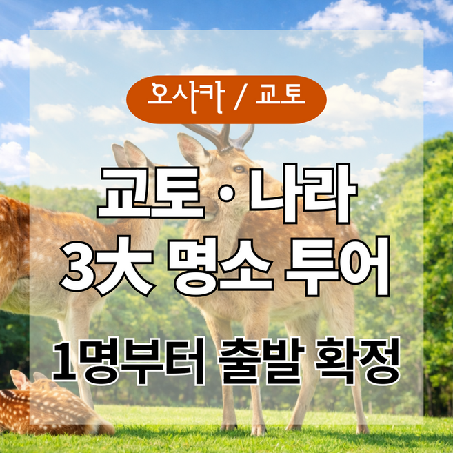 5위 - [오사카] 교토 · 나라 1일 버스투어 (오사카 OR 교토 출발)