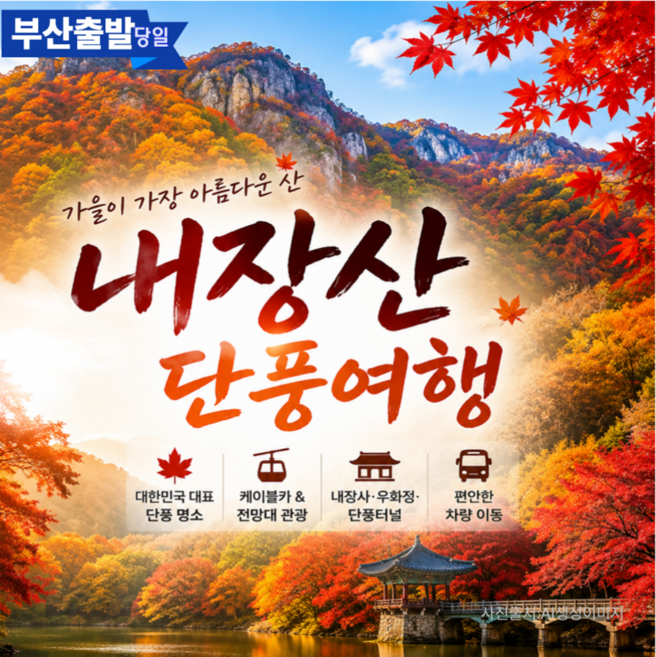 2위 - [전라도] [부산출발] 정읍 가을단풍이 가장 아름다운 내장산 단풍여행