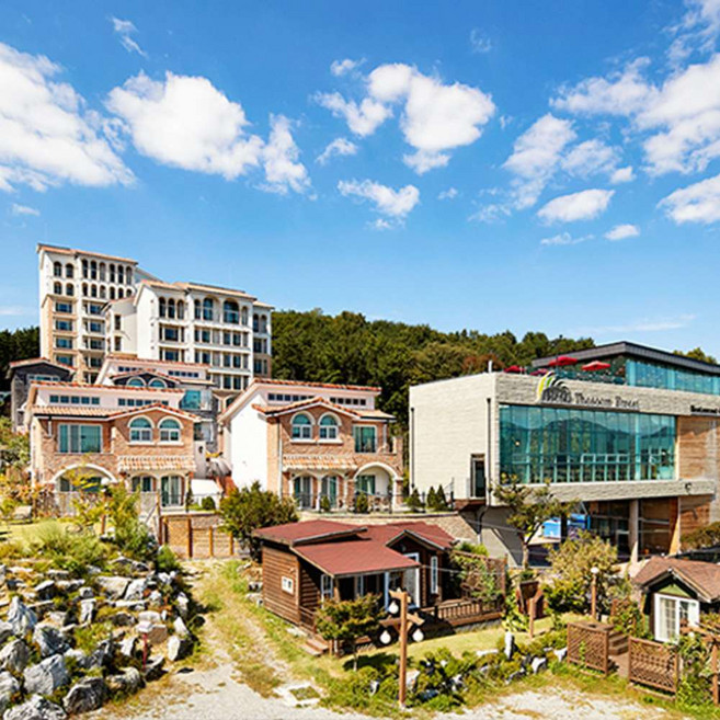 [용인] 용인 더숨 포레스트 호텔★기간한정특가★와우회원 최대30%할인 초특가★에버랜드 차량5분거리★