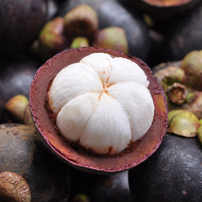 [직수입상품] 진한과즙이 매력적인 태국 생망고스틴, 1개, 생 망고스틴 1kg (8-16ea)