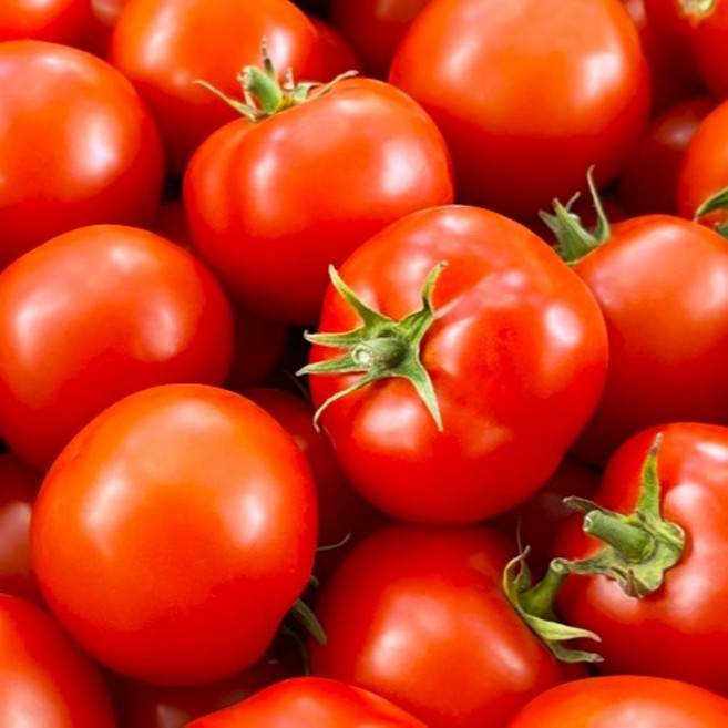 탱글탱글 정품 완숙토마토 농장직송 찰 토마토, 1박스, 토마토 5kg