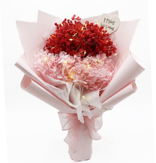 안개수국 천일화 프리저브드 LED 꽃다발+쇼핑백, 레드