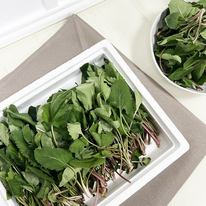 국내산 하동 지리산 햇 산 취나물 노지 하우스 400g 1kg, (하우스)산취나물 400g, 1개