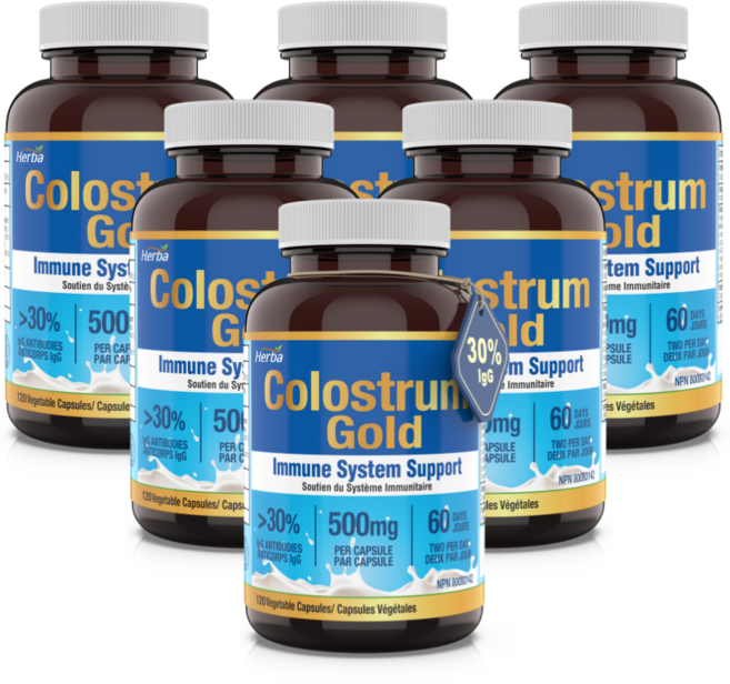 락토페린 초유 단백질 1000mg 120식물성캡슐 MBP 콜로스트럼 골드 허바 캐나다, 6개, 120정