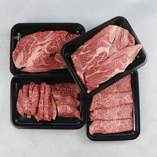 [한우공장] 투뿔나인 한우 1kg 구이용 모듬 소고기 등심 살치살 특수부위 세트, 1개