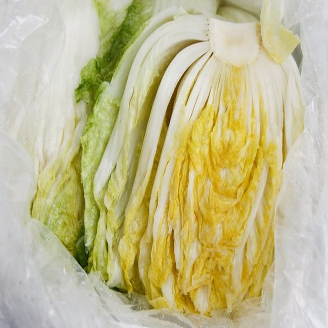 절임배추 김장용 준비용 수육용 쌈재료 아삭한 식감 국내산 배추, 1ml, 1g