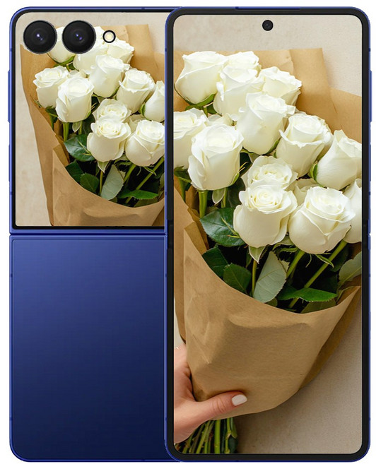 갤럭시 삼성전자 Z 플립7, 512GB, Z플립7 블루