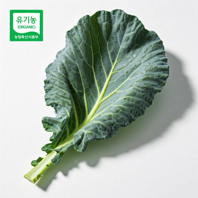 친환경 유기농 케일 당일수확 신선초 주스용 즙용, 1개, 2kg