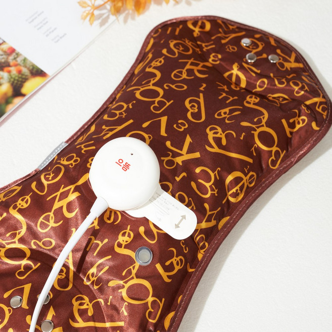 으뜸 온수 충전 전기찜질기 복부찜질 충전식찜질팩 복부 허리온열찜질기 찜질복대, 온수 신형 찜질기, 갈색, MB-HWB