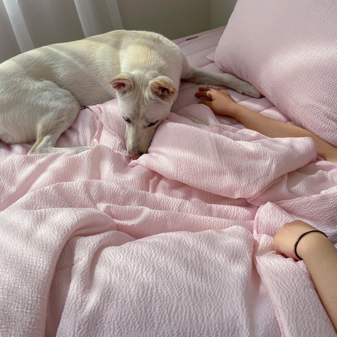 온기브 위드펫 냉감 발톱걸림 털박힘 차단 여름 반려동물 차렵이불 세트(SS/Q)