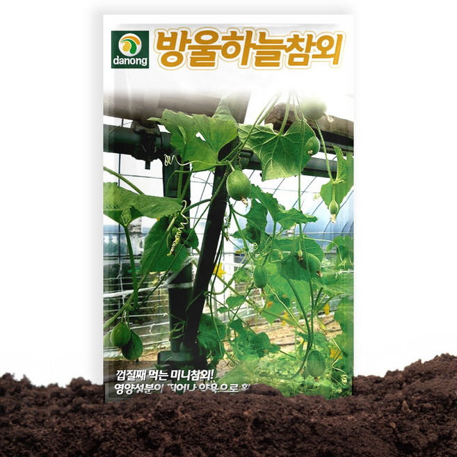 다농 방울하늘 참외 씨앗 10립 덩쿨성 미니참외씨 종자, 1개