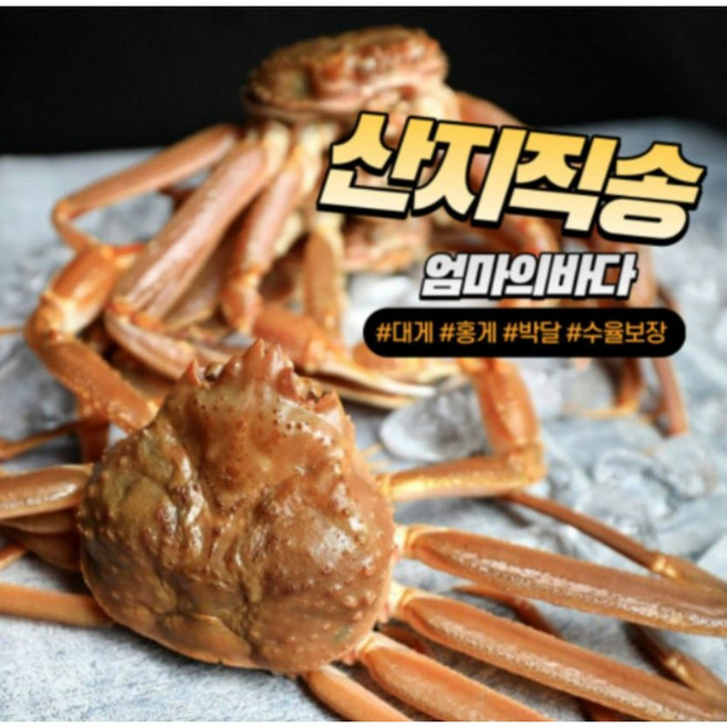 박달 자숙 영덕 대게 홍게 2kg [선주직송], 2.(찜)일반형홍게2kg내외 5-7마리, 1개