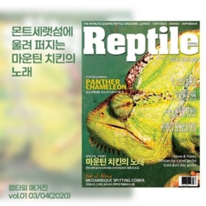렙타일 매거진 1호 (파충류박사 에디션), 1개