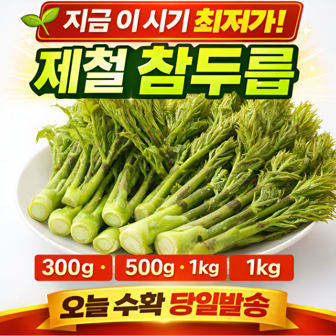 [2+1] 봄철보약 참두릅나무 참두릅 나물, 1개, 1kg