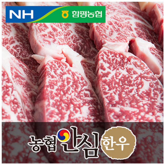 농협안심한우 등심, 1개, 500g 구이용(2등급)
