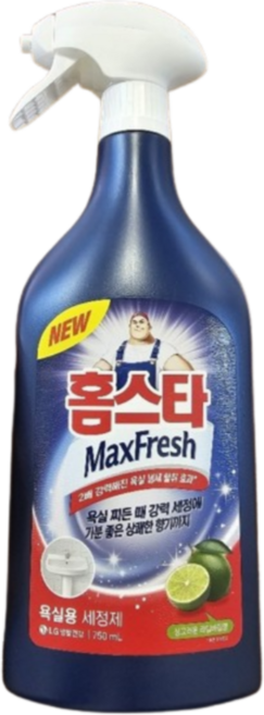 홈스타 맥스프레쉬 욕실세정제, 750ml, 4개