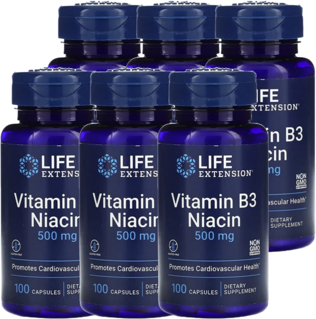 라이프익스텐션 나이아신 500mg 비타민b3 100정 6통, 6개 - 쿠팡