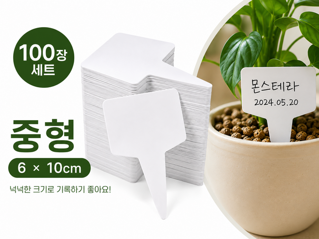 원예 식물이름표 꽂이 화분이름표 대형 100개, 화이트
