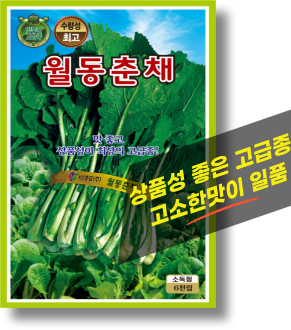 춘채 씨앗 (6000립) 월동 겨울 채소씨앗 유채나물 하루나 겨울초 종자, 1개