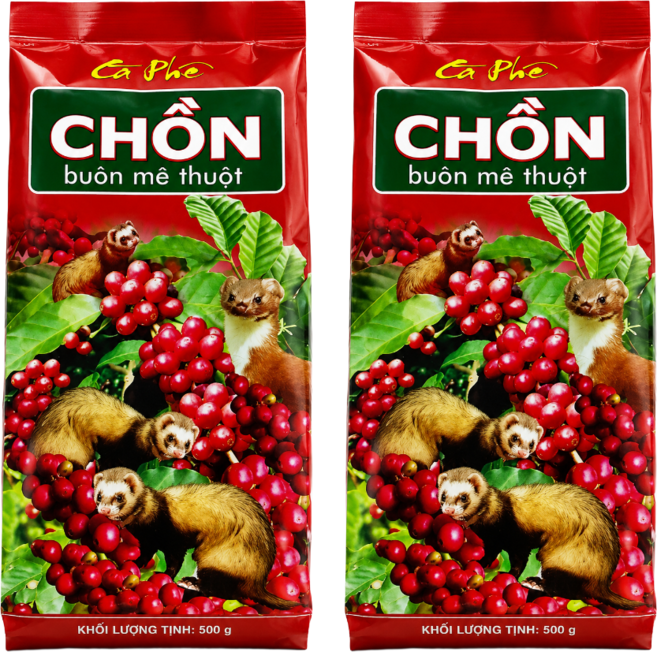 Buon Me Thuot 카페쫀 족제비 특산 커피 분쇄형, 500g, 2개, 핸드드립