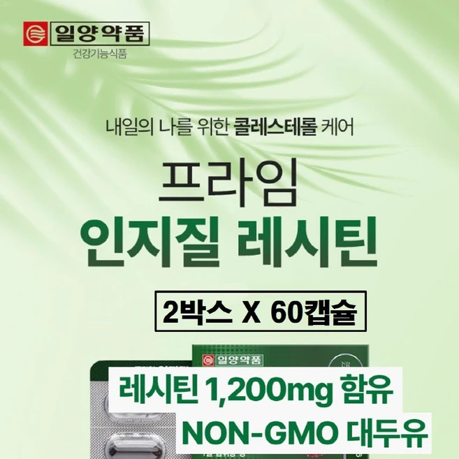 대두 레시틴 1200mg NON GMO 프리 ldl hdl 콜레스테롤 케어 인지질 포스파티딜콜린 아세틸콜린 식물성 레시친 레스틴 개선 효능 추천 식약청인증 식약처 인정 건강기능식품, 2박스, 48g - 쿠팡