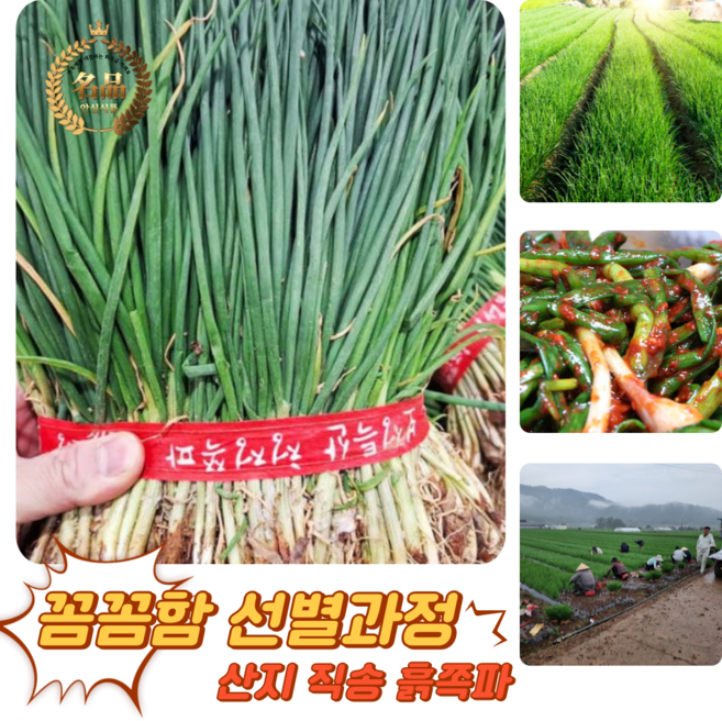 [굿피플] 흙쪽파 쪽파 파 흑파 깐쪽파 실파 잔파, 1개, 2kg