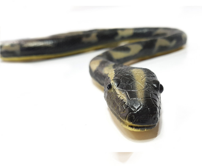 세계유통 소프트뱀(대)_검정비단뱀 / 뱀모형 말랑뱀 장난감뱀 뱀완구 자연학습 교육용 동물모형완구, 1개